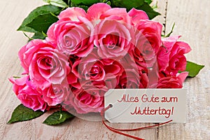 Mothers day card with pink roses .