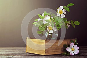 Mothers Day card. Still life with beautiful roses and old book on dark background