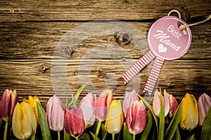 Mothers Day greeting with a tulip border