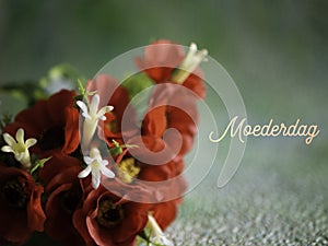 Mothers Day, Moederdag in Dutch. Red flowers, room for copy.