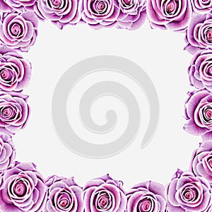 Mothers Day rose border - floral frame