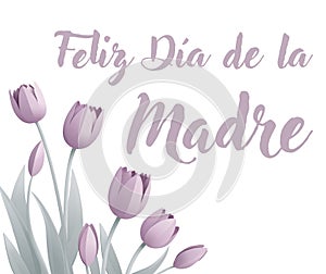 Mothers Day Spanish Feliz Dia De La Madre Design photo