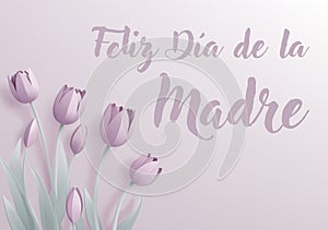 Mothers Day Spanish Feliz Dia De La Madre Design photo