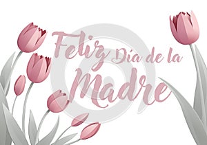 Mothers Day Spanish Feliz Dia De La Madre Design photo