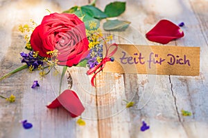 Mothers Day or Valentines Day gift card, voucher or coupon with german text, Zeit fuer Dich, means time for you and red rose