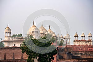 Moti Masjid or Pearl Mosque in Agra Fort, India
