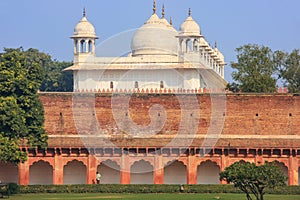 Moti Masjid Pearl Mosque in Agra Fort, Uttar Pradesh, India