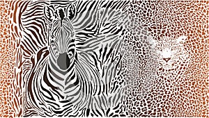 Motif background zebras and leopard