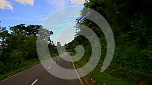 Motion along Curvy Country Road between Green Plant Landscape