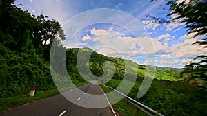 Motion along Curvy Country Road between Green Plant Landscape