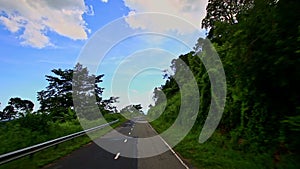 Motion along Curvy Country Road between Green Plant Landscape