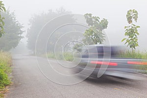 Motion blur of car on road on foggy morning along green tree lin