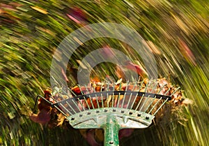 Motion blur on green lawn rake leaves