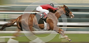 Motion Blur Horse Race