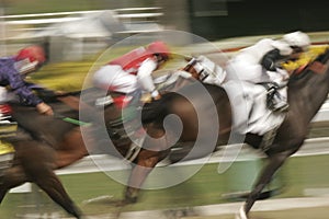 Motion Blur of Racing Horses