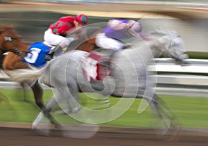 Motion Blur of Racing Horses