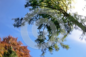 Motion blur sky look up