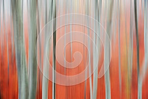 Motion blur of trees