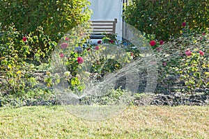 Motion blur of water from a sprinkler in a garden in a flower bed against the background of flowers. Blurred action of watering