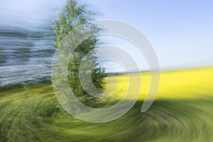Motion blurred photo background of a tree with a yellow field and blue sky in the background