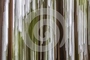 Motion blurred tree trunks and canopy produce abstract image