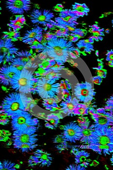 Motion Glitch interlaced neon summer flowers Distorted futuristic background photo