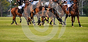 motion of Polo player during Polo match.