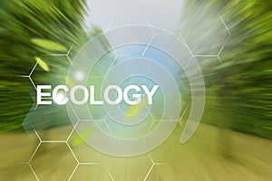 Motion to clean future - wind of positive changes in park.