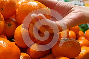 Motion of woman`s hand picking mandarin inside superstore