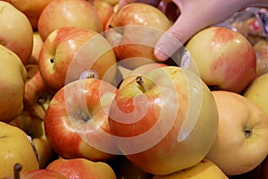 Motion of woman`s hand picking organic ambrosia apple inside supermarket