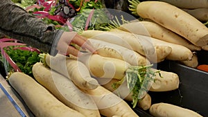 Motion of woman`s hand picking radish inside Superstore