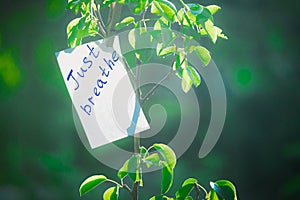 Motivating phrase just breathe. On a green background on a branch is a white paper with a motivating phrase. photo