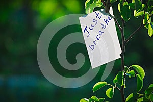 Motivating phrase just breathe. On a green background on a branch is a white paper with a motivating phrase. photo