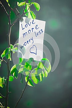 Motivating phrase love more worry less. On a green background on a branch is a white paper with a motivating phrase photo