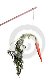 Motivation with carrot on stick