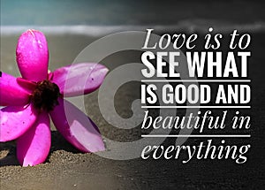 motivation inspiration quote - Love is to see what is good and beautiful in everything