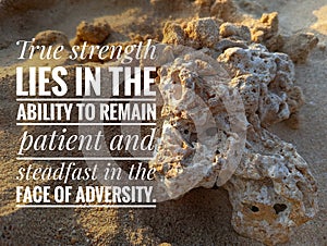 motivation inspiration quote - True strength lies in the ability to remain patient and steadfast in the face of adversity.