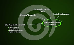 Motivational forces