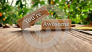 Motivational and Inspiration quote - You are awesome.