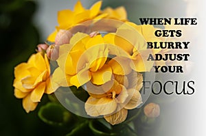 Motivational and inspirational quote - When life gets blurry adjust your focus. Yellow flower and blurred background.