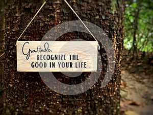 Motivational and inspirational quotes on wooden block - Gratitude, recognize the good in your life. With tree background