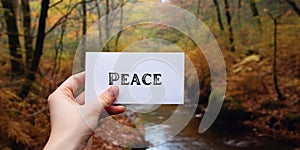 Motivational inspiring hand holding word card peace in woods