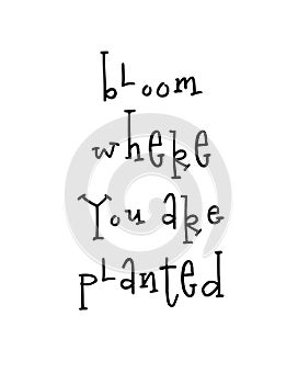 Motivational poster with lettering quote bloom where you are planted