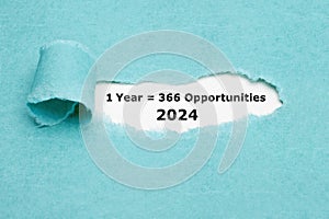 Motivational Quote 1 Leap Year 2024 Equal To 366 Opportunities photo