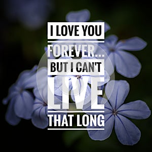 Motivational Quote on sunset background - I love you forever but I can`t live that long.