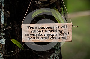 Motivational quote on wood signage - True success is all about working towards meaningful goals and dreams.