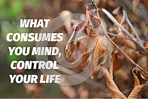 Motivational quote written with WHAT CONSUMES YOUR MIND, CONTROL YOUR LIFE
