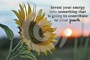 Motivational words - Invest your energy into something that is going to contribute to your growth. With sunset and sunflower.