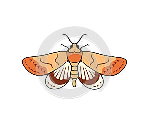Motley nocturnal moth, butterfly and moth, logo design. Flying insects, nature, entomology and entomological, vector design