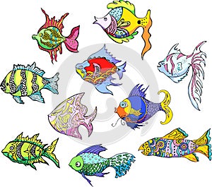 Motley tropical fish